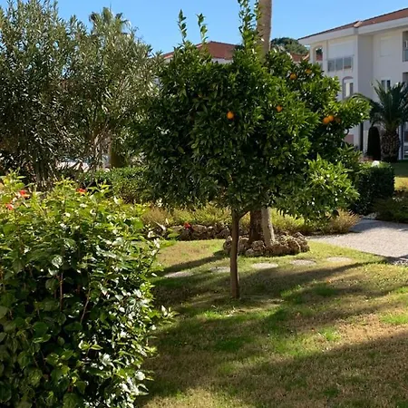 Apartamento Four Seasons. Ilicia.